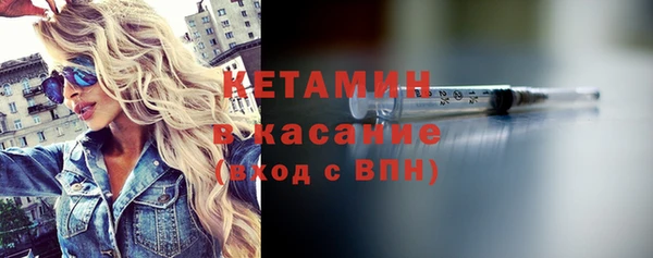 гидра Абаза