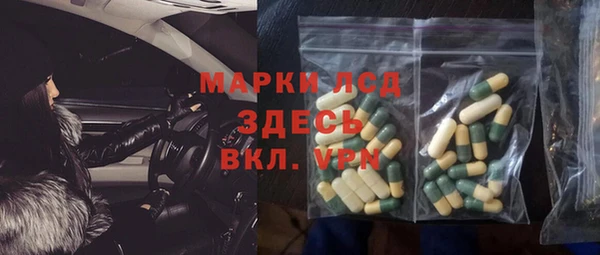 гидра Абаза