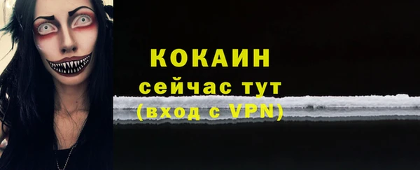 гидра Абаза