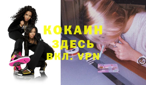 гидра Абаза