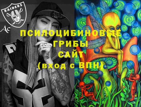 гидра Абаза