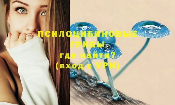 гидра Абаза