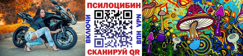 гидра ТОР  Эртиль  Галлюциногенные грибы ЛСД 